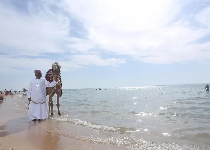 Szálloda Pyramisa Beach Resort Sahl Hasheesh